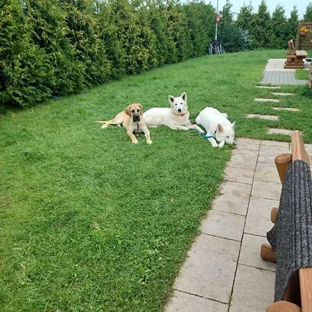 Pod Brzozami Prázdninový dům Sarbinowo