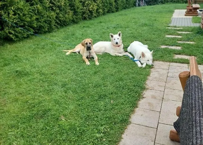 Pod Brzozami Casa vacanze Sarbinowo