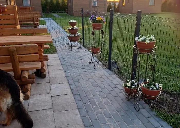 Pod Brzozami * Sarbinowo